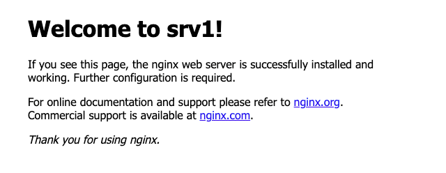 The modified, server-specific NGINX welcome page.